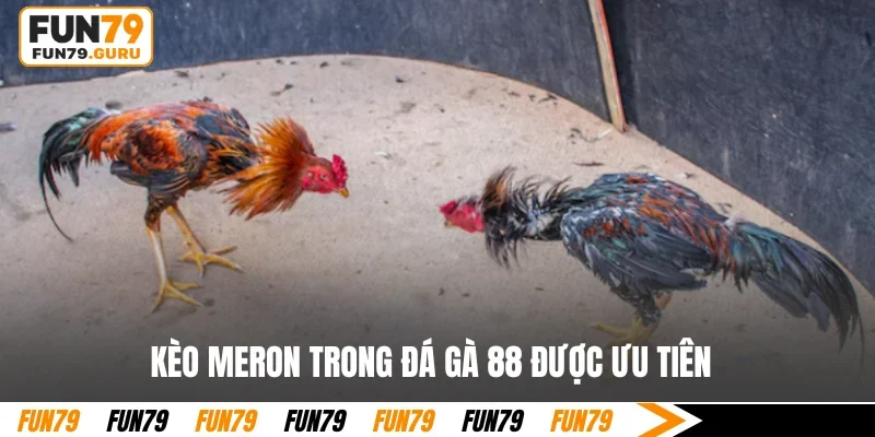 Kèo Meron trong đá gà 88 được ưu tiên