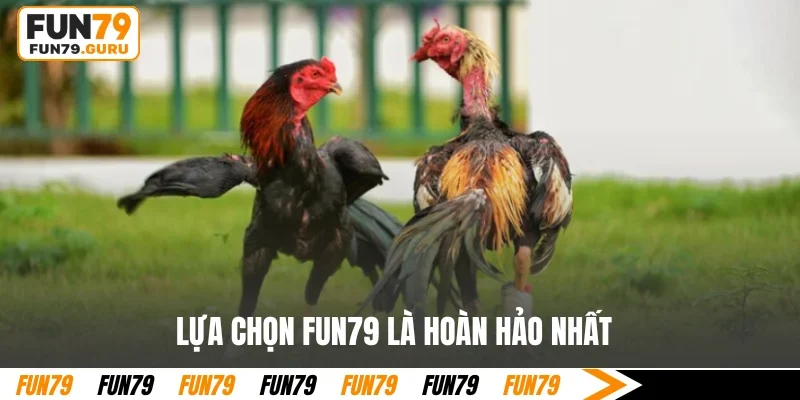 Lựa chọn FUN79 là hoàn hảo nhất