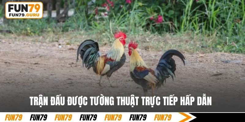 Trận đấu được tường thuật trực tiếp hấp dẫn