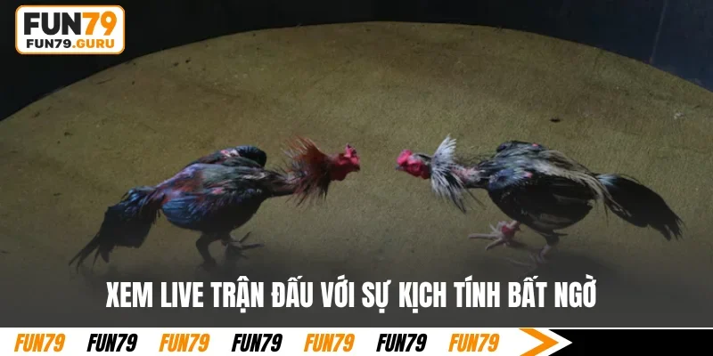 Xem live trận đấu với sự kịch tính bất ngờ